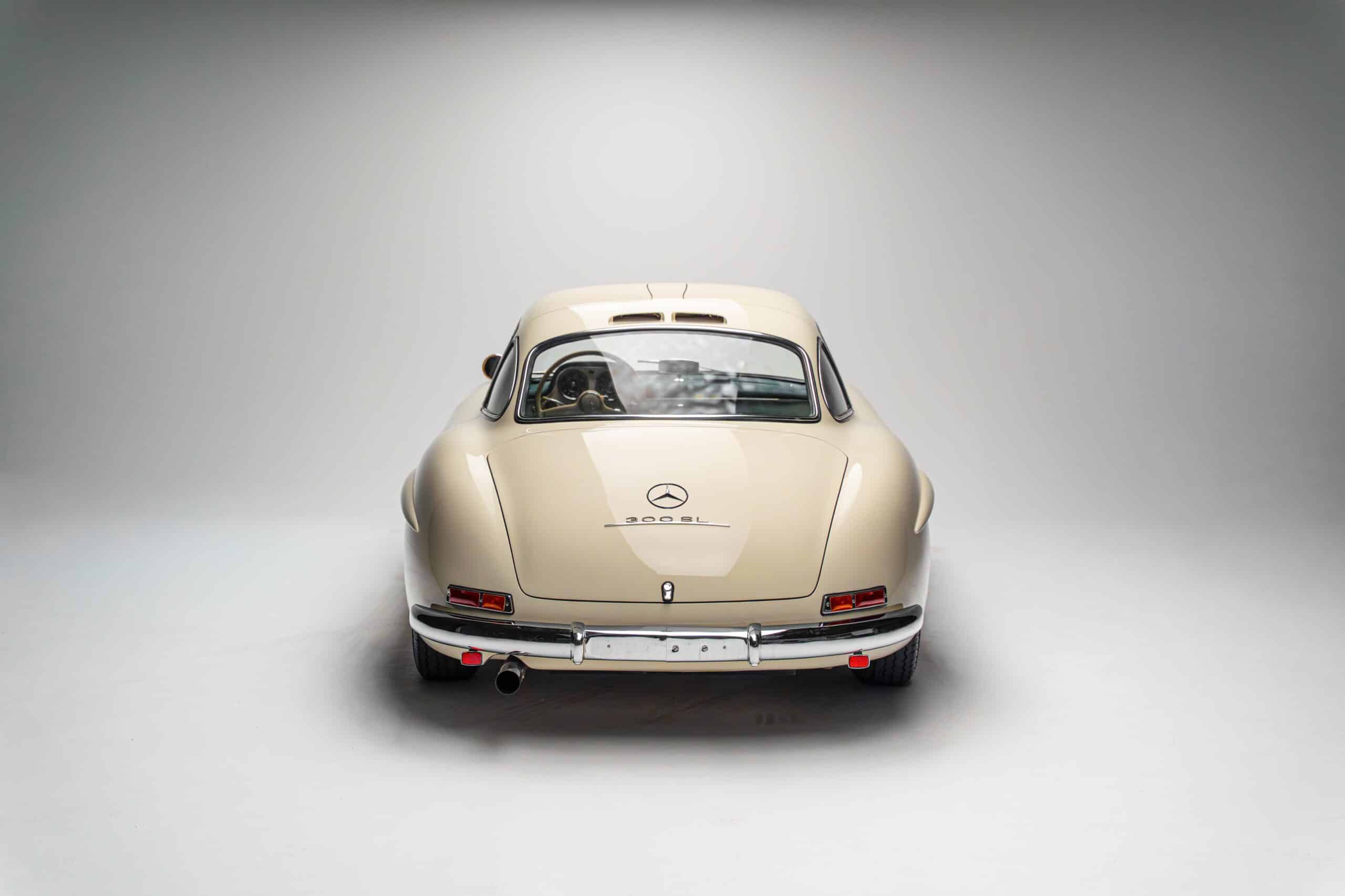 MB 300 SL Flügel - 12