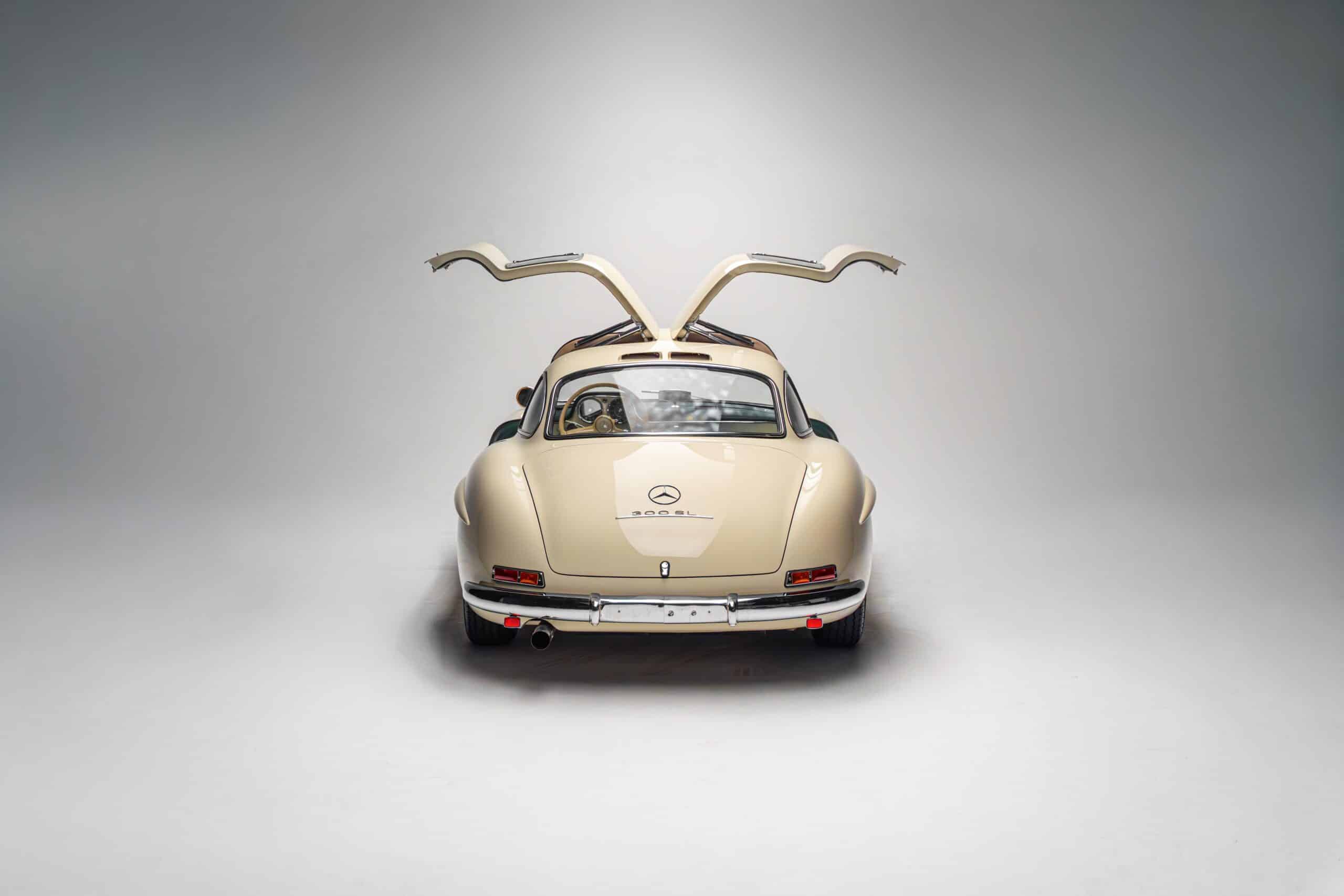 MB 300 SL Flügel - 13